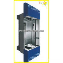 Wohn-und kommerziellen Panorama-Aufzug mit Maschine geräumig